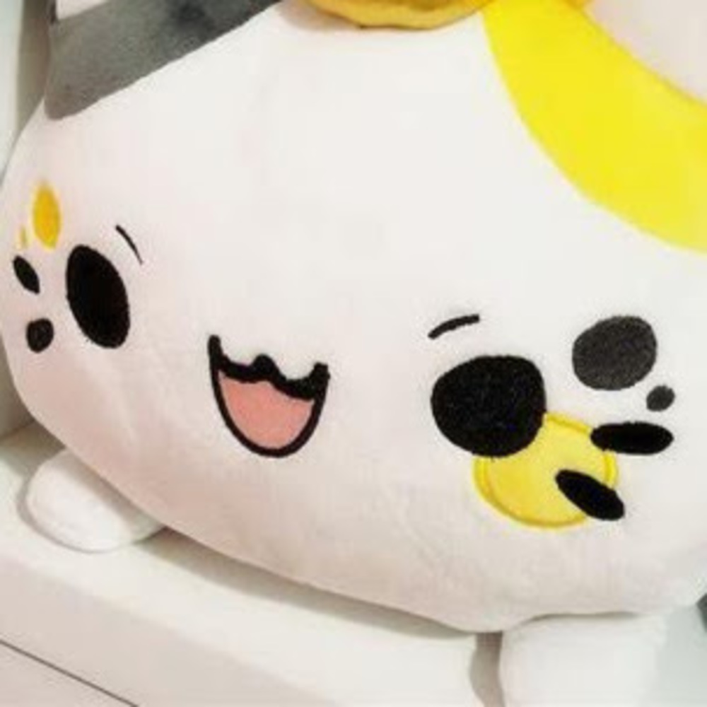 Meet your Posher, Tishell